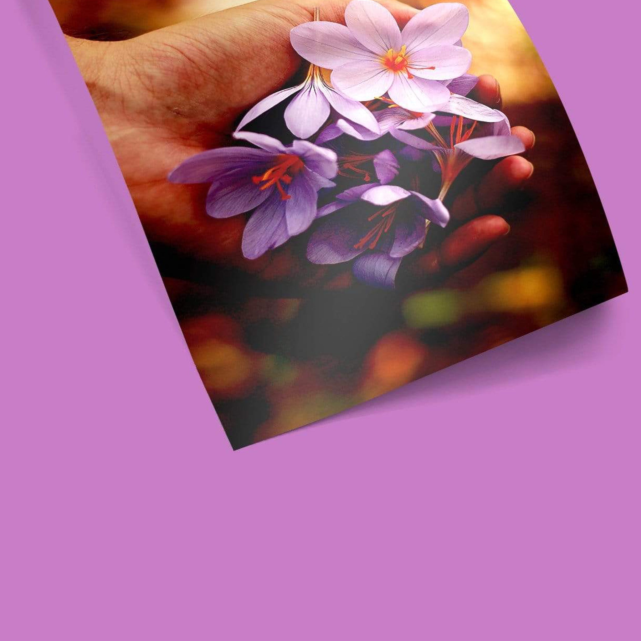 Glossy Poster Prints