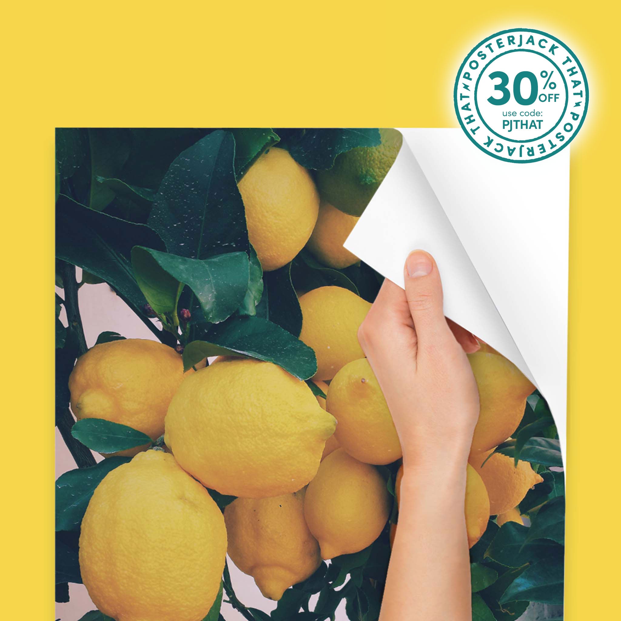 Peel & Stick Prints