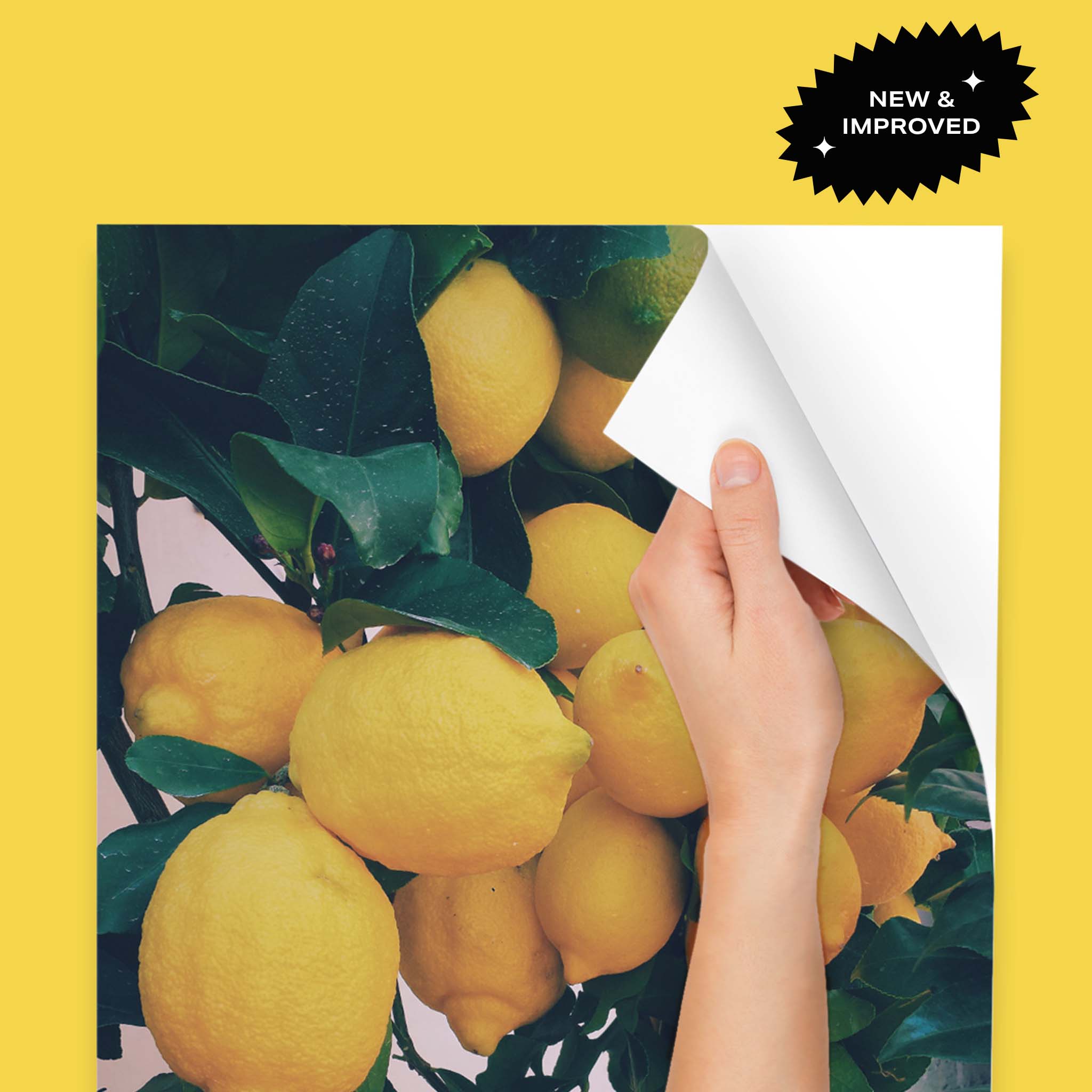 Peel & Stick Prints