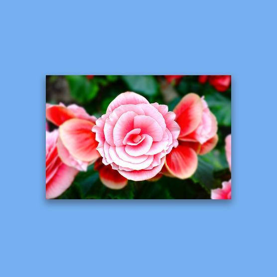 HD Metal Prints