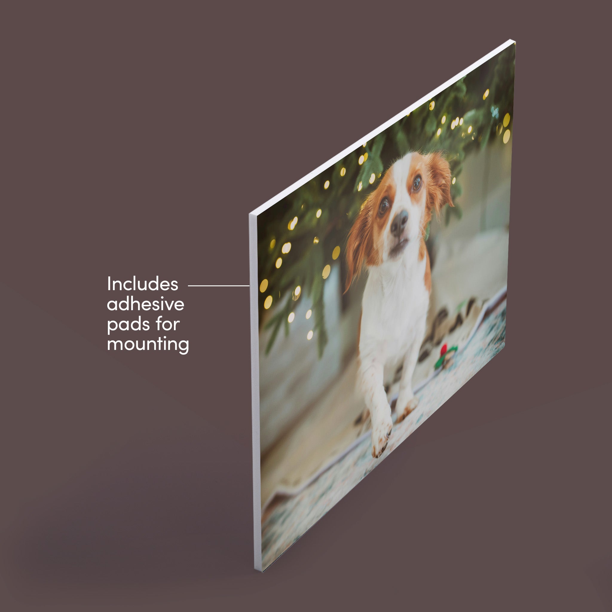Photoboard 16x24" - Black Friday Doorcrasher
