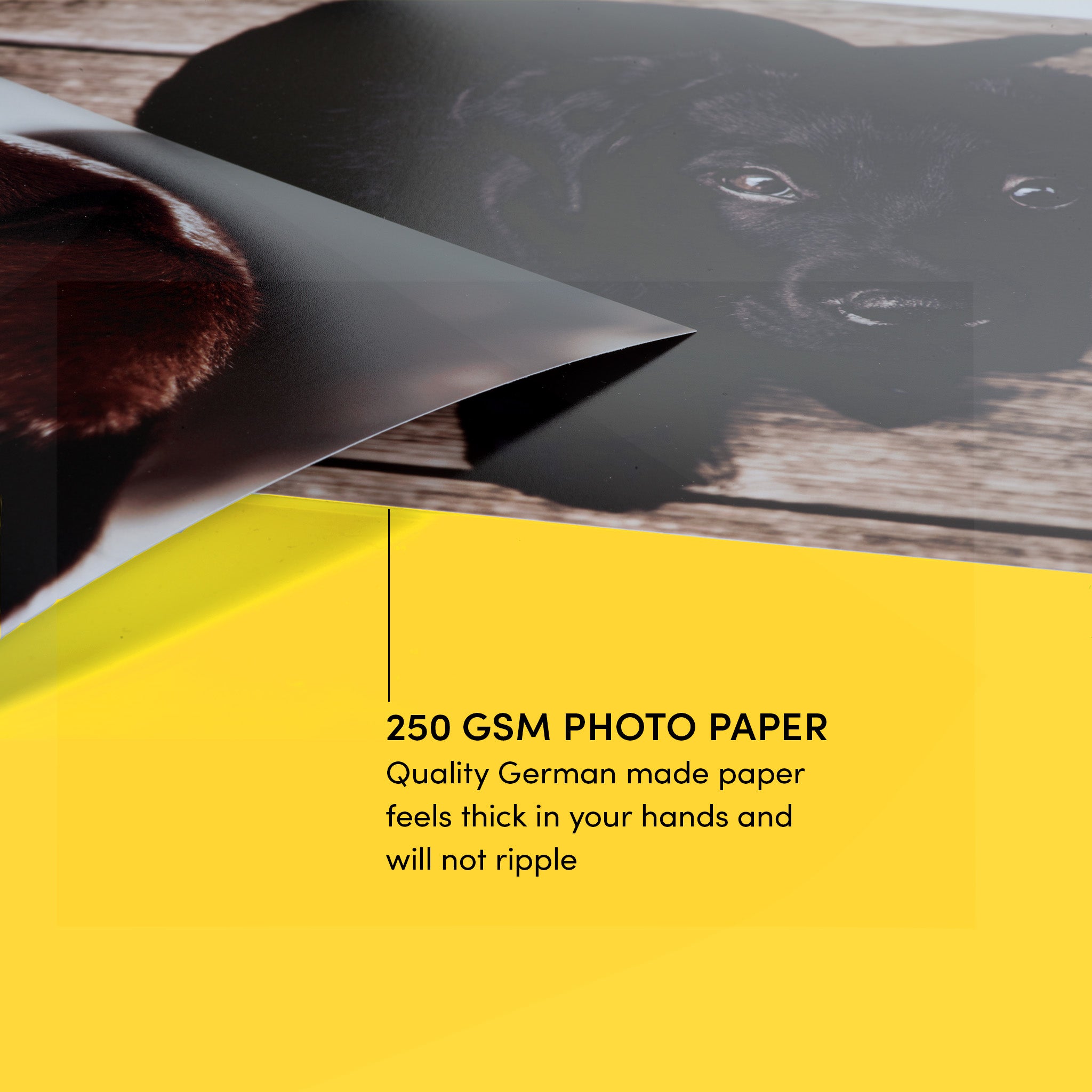 Satin Matte Poster Prints