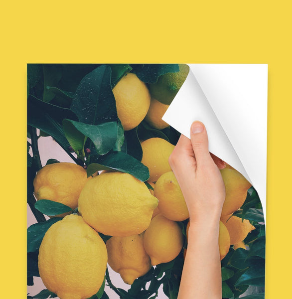 Custom Wall Decal Poster Prints Wall Decor Stickers Posterjack